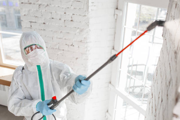 Best Carpet water damage restoration  in Calvert City, KY