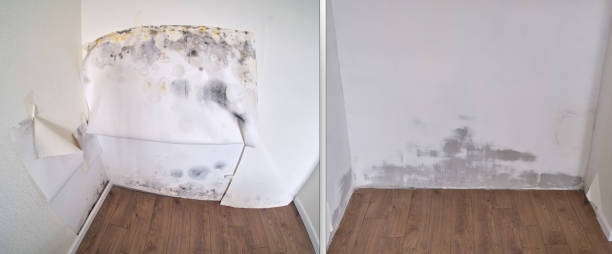 Carpet water damage restoration in Calvert City, KY