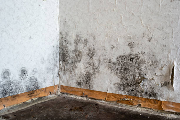 Professional Water damage restoration in Calvert City, KY